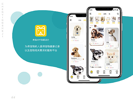 猫咪APP官方最新版，体验全新升级的移动宠物世界